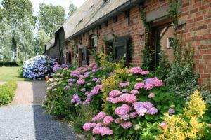 Vakantiehoeve De Biezenpolder